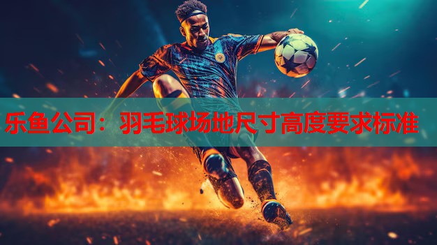 羽毛球场地尺寸高度要求标准 羽毛球场地尺寸高度要求标准