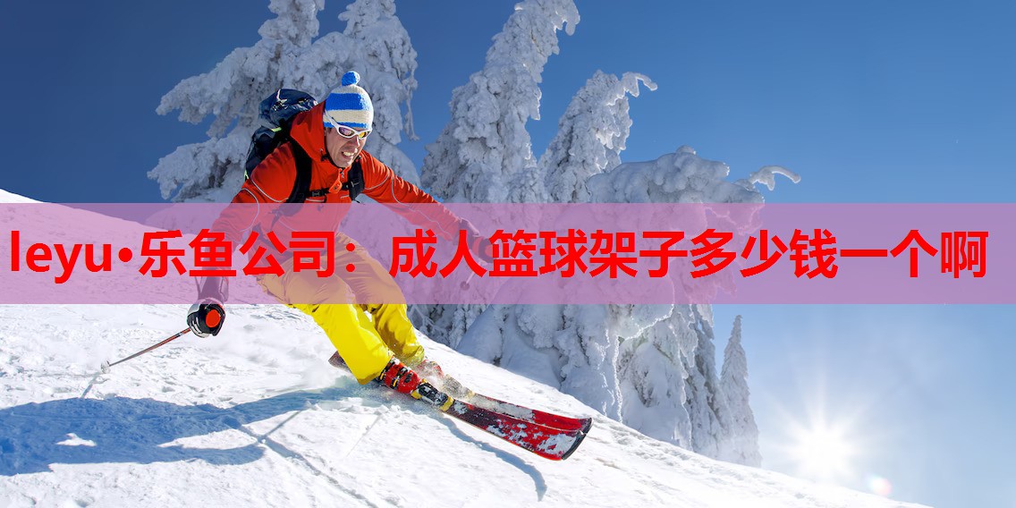 成人篮球架子多少钱一个啊 成人篮球架子多少钱一个啊