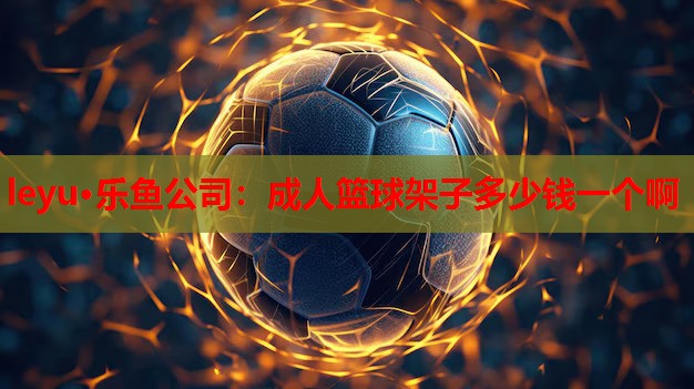 成人篮球架子多少钱一个啊 成人篮球架子多少钱一个啊