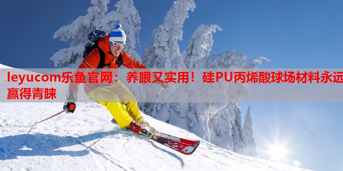 养眼又实用!硅PU丙烯酸球场材料永远赢得青睐 养眼又实用!硅PU丙烯酸球场材料永远赢得青睐
