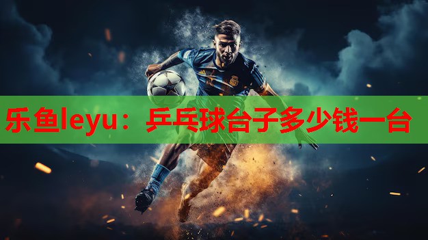 乒乓球台子多少钱一台 乒乓球台子多少钱一台