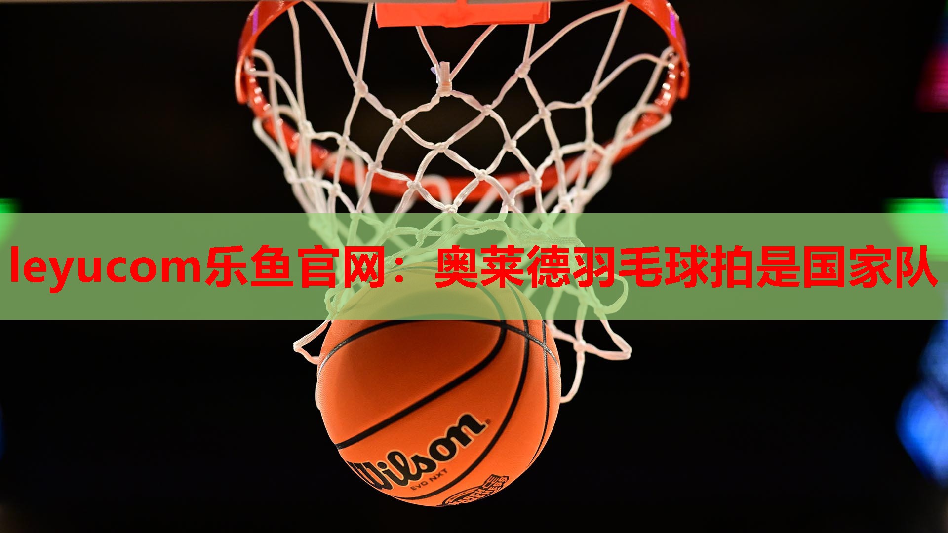 奥莱德羽毛球拍是国家队 奥莱德羽毛球拍是国家队