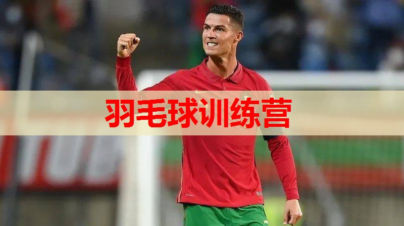 羽毛球训练营 羽毛球训练营
