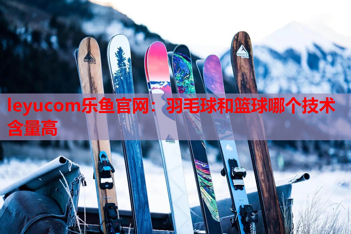 羽毛球和篮球哪个技术含量高 羽毛球和篮球哪个技术含量高