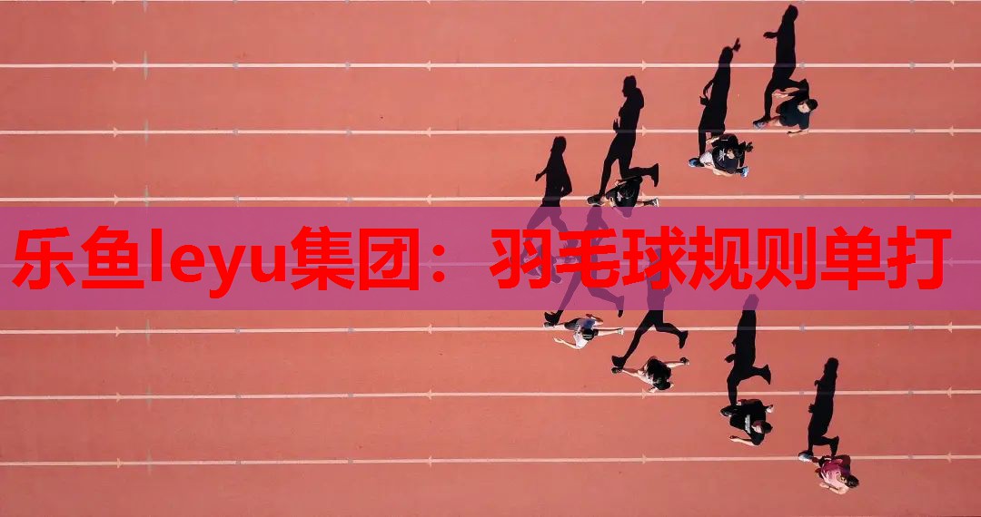 羽毛球规则单打 羽毛球规则单打