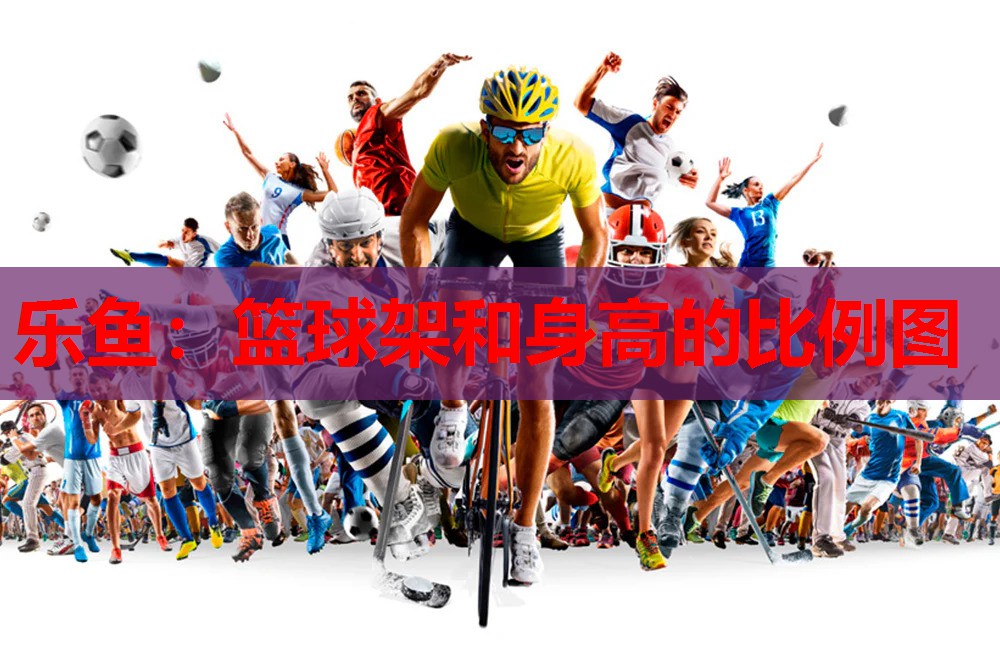 篮球架和身高的比例图 篮球架和身高的比例图