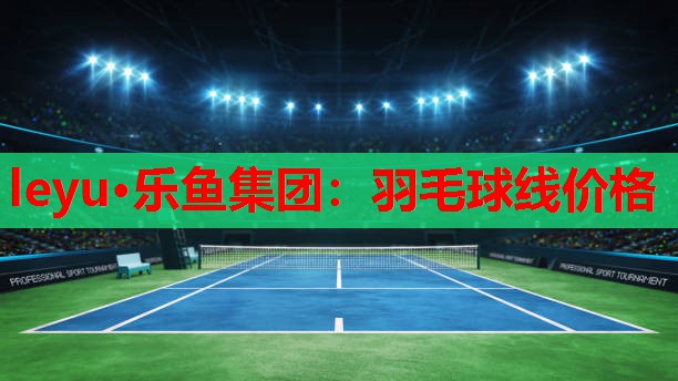 羽毛球线价格 羽毛球线价格