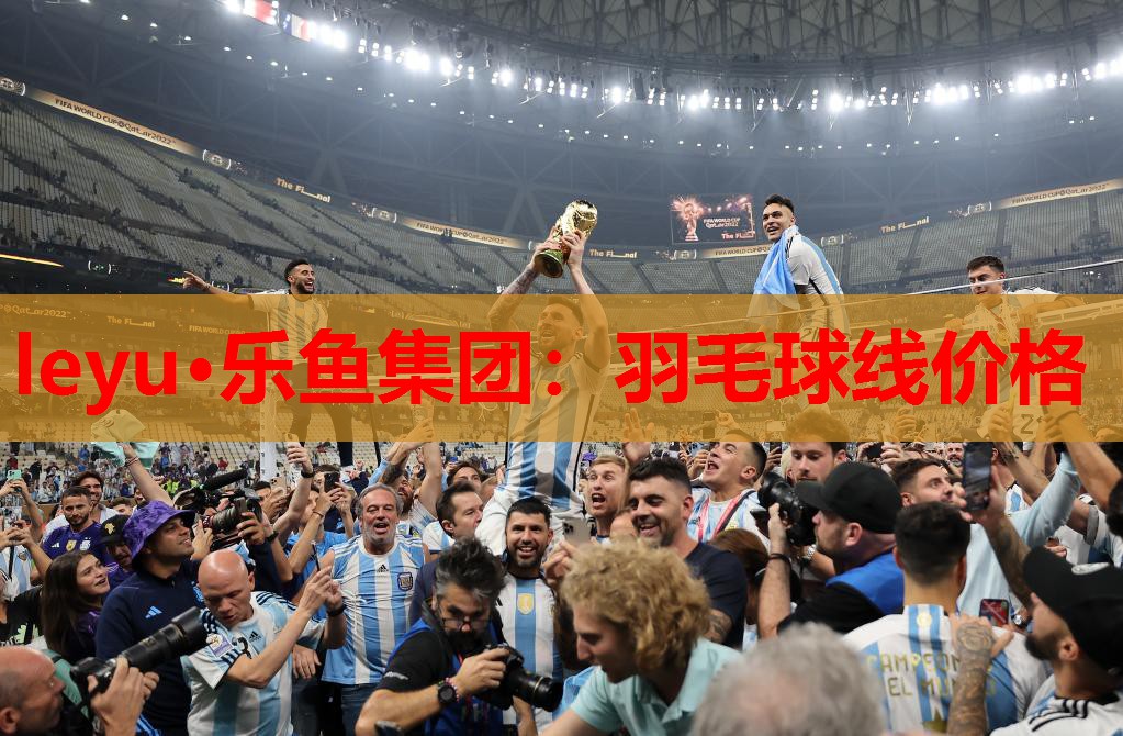 羽毛球线价格 羽毛球线价格