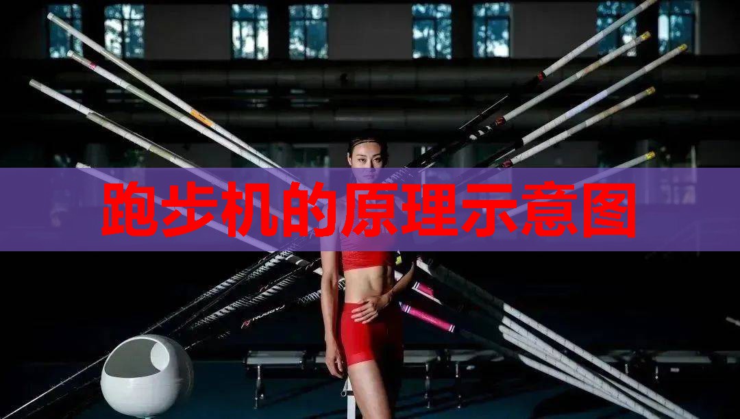 跑步机的原理示意图 跑步机的原理示意图