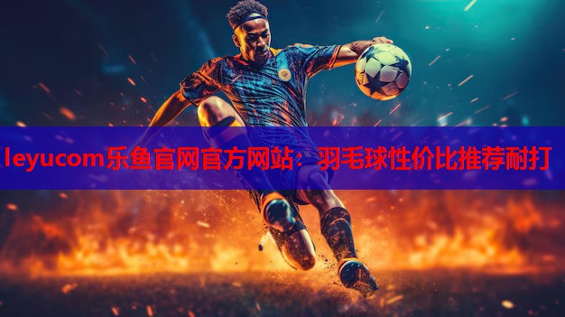 羽毛球性价比推荐耐打 羽毛球性价比推荐耐打
