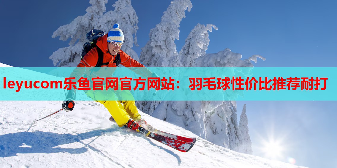 羽毛球性价比推荐耐打 羽毛球性价比推荐耐打
