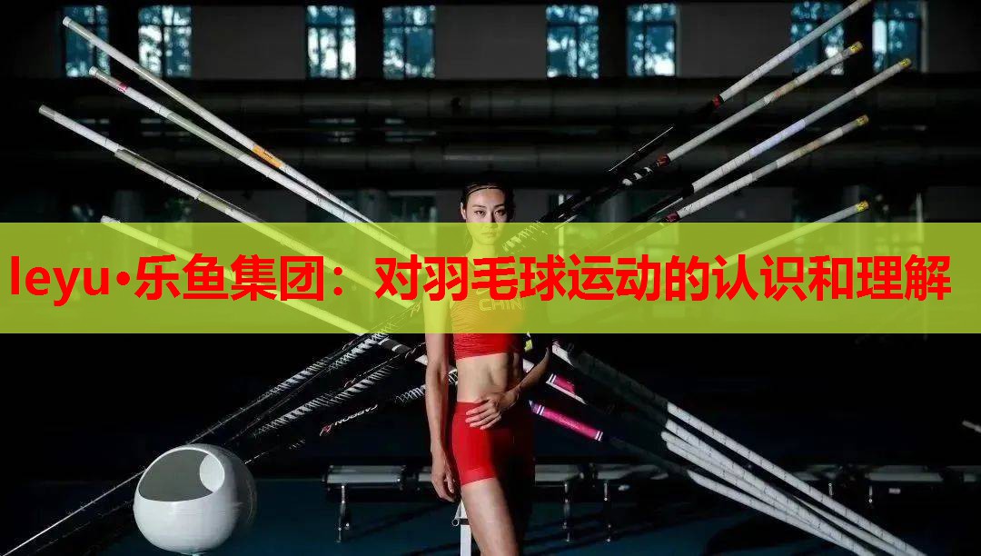 对羽毛球运动的认识和理解 对羽毛球运动的认识和理解