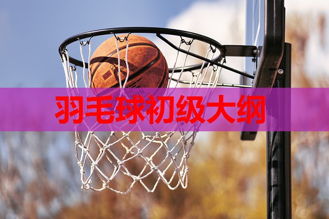 羽毛球初级大纲 羽毛球初级大纲
